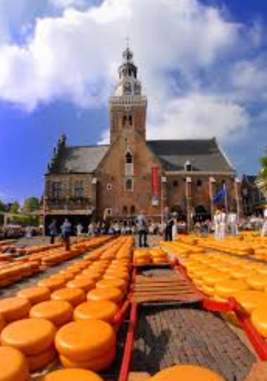 Huisje Britt Met Grote Tuin En Veel Privacy Dirkshorn Luaran gambar
