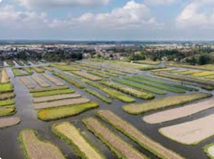 Huisje Britt Met Grote Tuin En Veel Privacy Dirkshorn Luaran gambar
